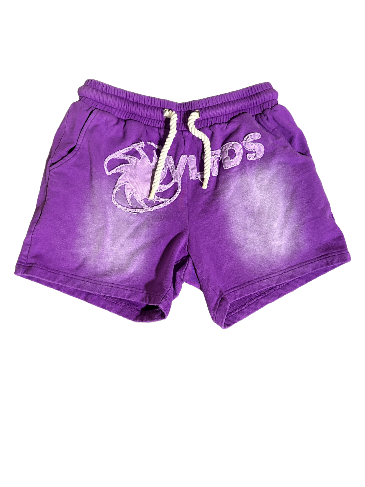 Purple VLTDS Shorts