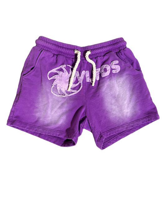 Purple VLTDS Shorts